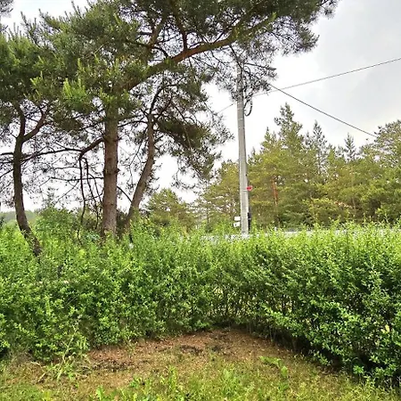 Gwiazda Morza By Triapart Jantar